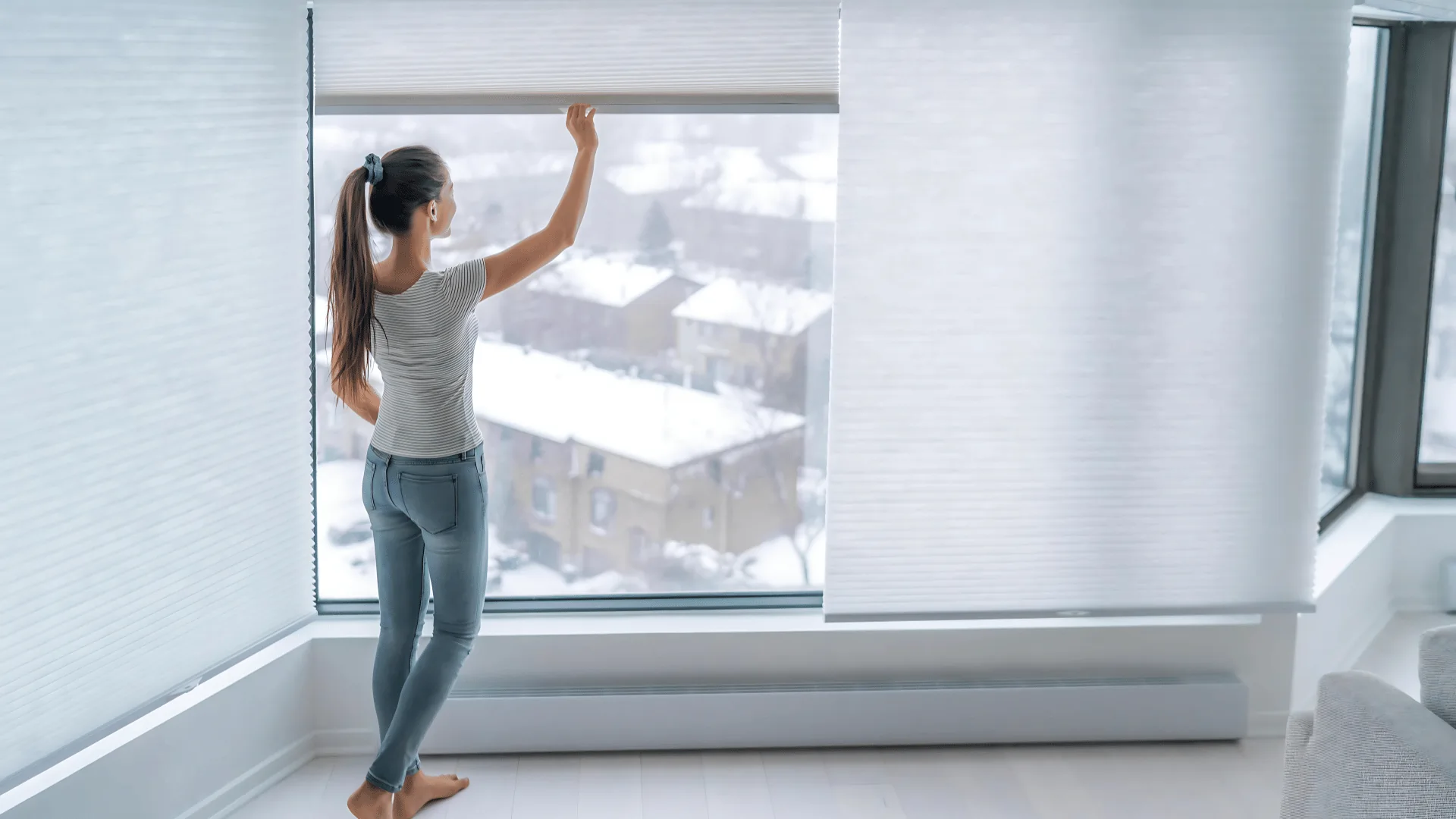Honeycomb Blinds