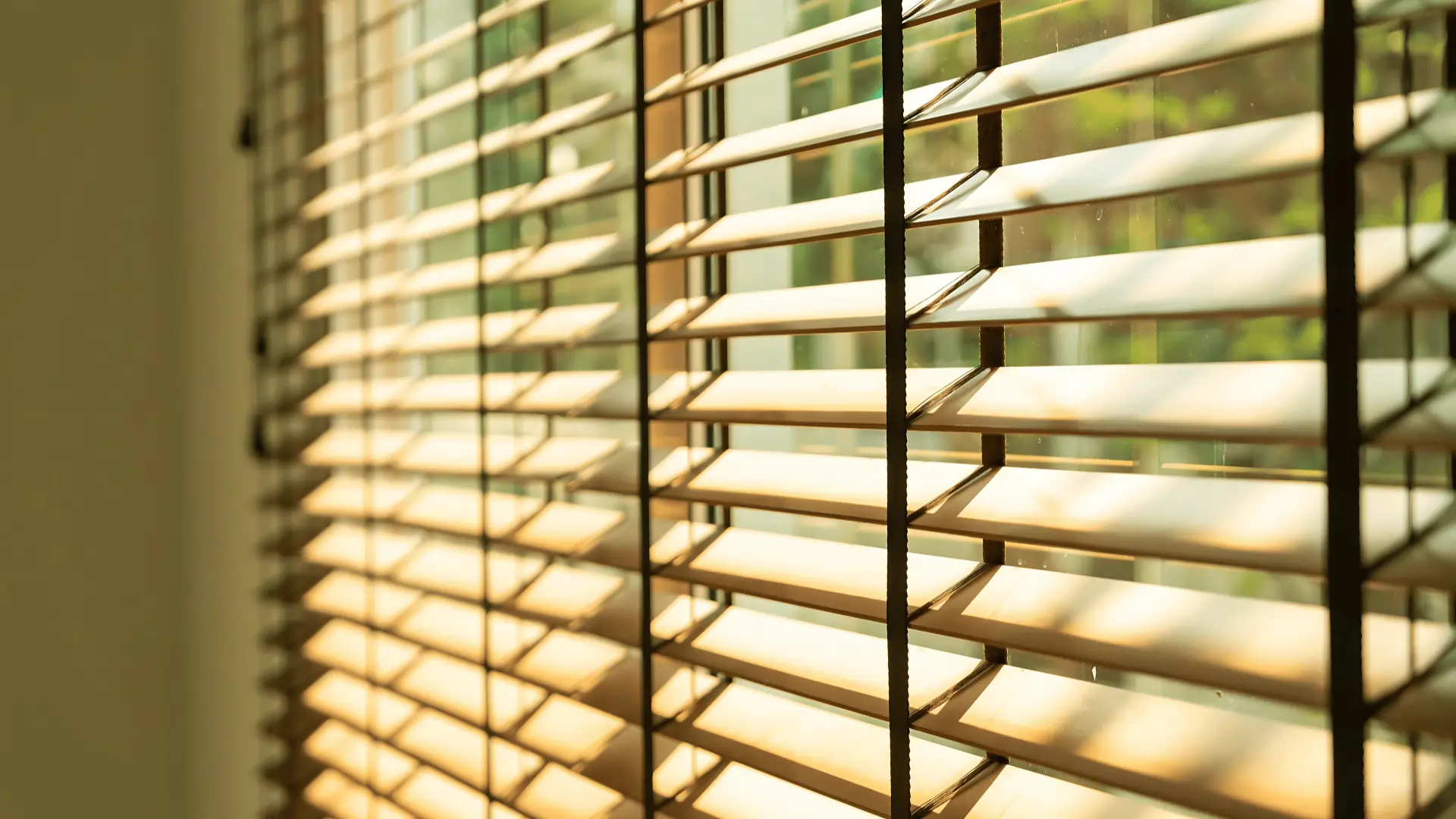 Venetian Blinds
